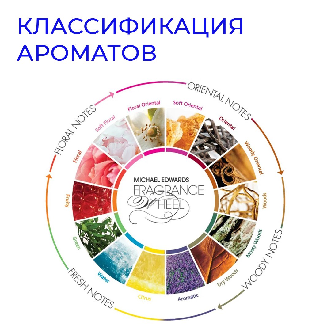 Классификация современных ароматов