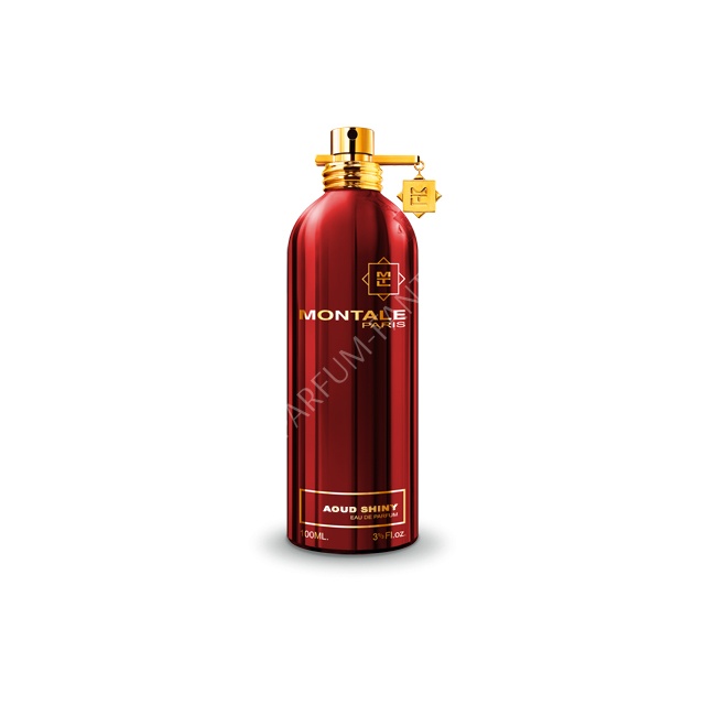 Фото - MONTALE Aoud Shiny