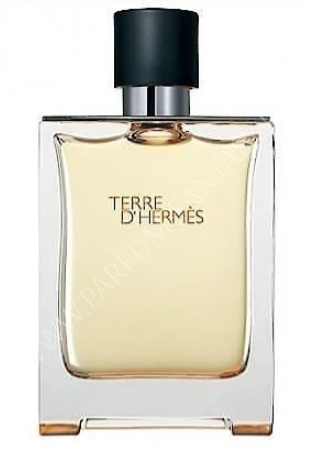 Фото - HERMES Terre D`Hermes