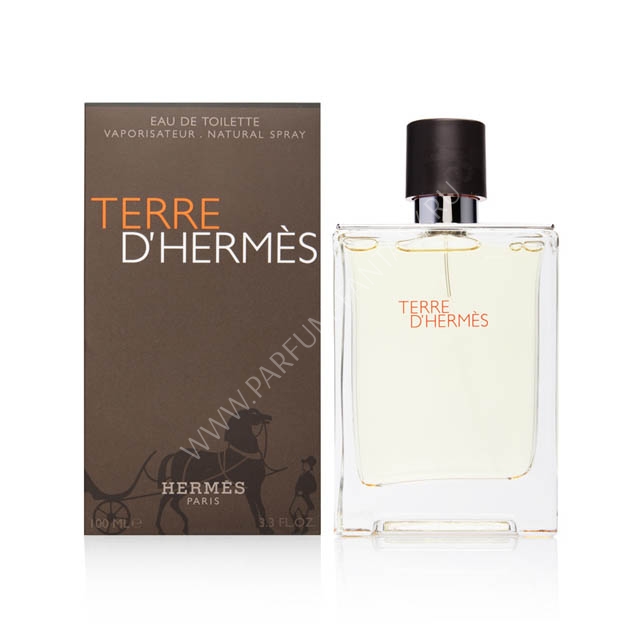 Terre D`Hermes (HERMES Terre D`Hermes Туалетная вода (EdT) 100 мл Мужская) Фото - Terre D`Hermes (HERMES Terre D`Hermes Туалетная вода (EdT) 100 мл Мужская)